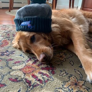 Meet your Posher, Brendan